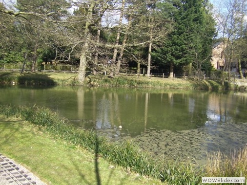 Boating Pond View NE