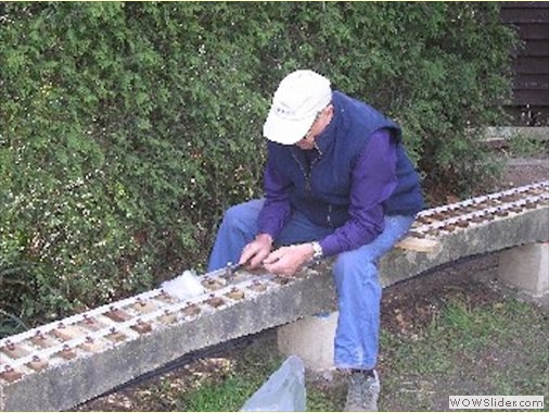 Elevated Track Completion 2