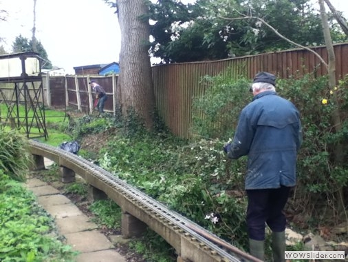 Gardening in the large steaming bay