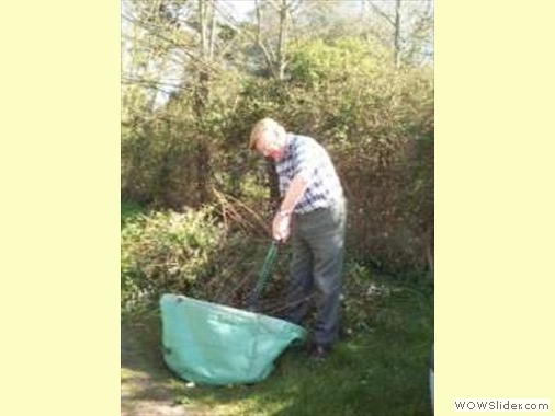 Hedge Trimming