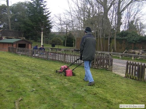 Perenial Grass Cutting